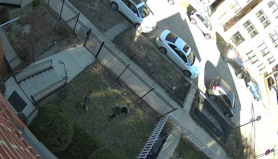 Reolink Camera Two_01_Reolink Home Hub One_20260323164716.jpg